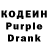 Кодеиновый сироп Lean Purple Drank Untiliwin